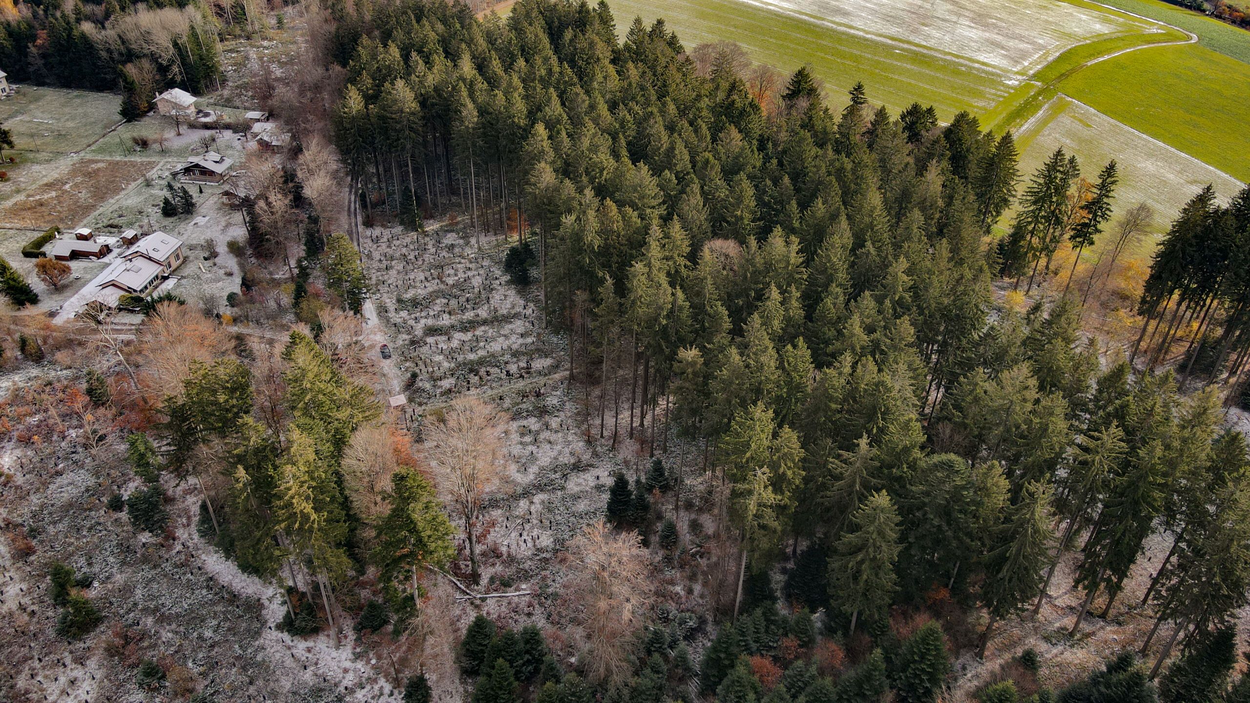 Il nostro impegno per l’ambiente continua…